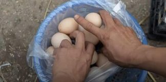 Chăm con dâu hết cữ, lúc về được con bé dúi cho gói bánh đi đường, mở ra thấy thứ bên trong tôi chết lặng