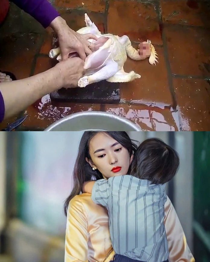 606769476_1466618298804468_8371984726248369811_n