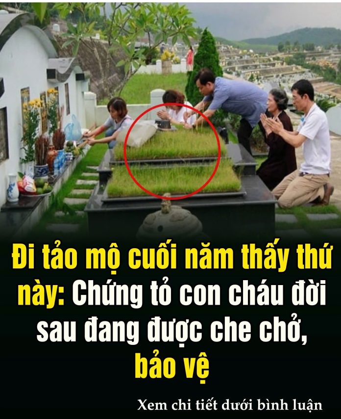 608811456_1467302955402669_2214859460411669866_n