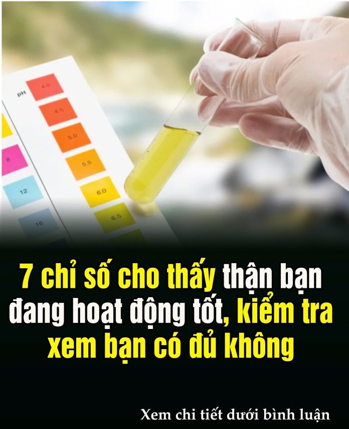 608854157_1468922955240669_3373411796288620934_n