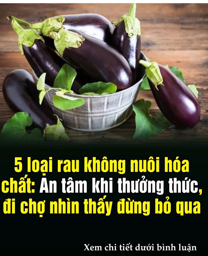 611294196_1468991521900479_6292719100619517572_n