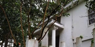 Nhà nặng khí, long mạch bất ổn: 3 dấu hiệu dễ nhận biết để tránh hao tài tán lộc