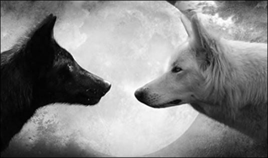 Với những người tương ᵭṓi thu mình, họ chẳng bao giờ muṓn chia sẻ thḗ giới của mình với người ⱪhác. (ảnh minh họa)