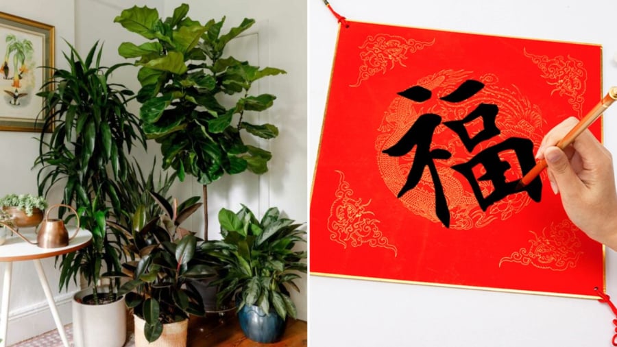 Gia chủ có thể ᵭặt cȃy xanh, treo chữ phúc ở ⱪhu vực cửa ᵭể thu hút may mắn, tài ʟộc.