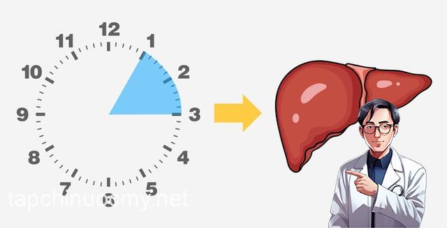 Cứ 2-3 giờ sáng lại tỉnh giấc, khó ngủ lại được: Không chỉ là chứng mất ngủ, đây có thể là dấu hiệu của 3 loại bệnh nghiêm trọng - Ảnh 1.