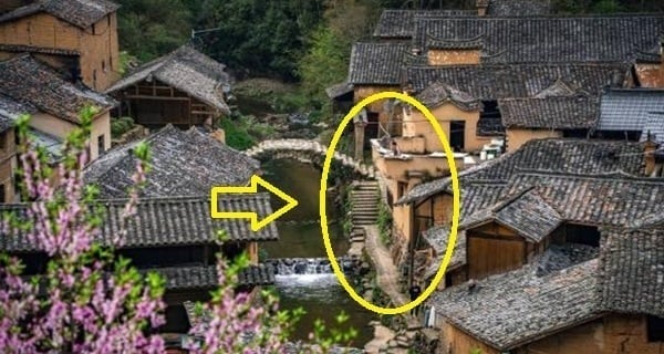 Trong cuộc sṓng, ᵭȏi ⱪhi chúng ta gặp phải những người chọn con ᵭường phạm pháp ᵭể ᵭạt ᵭược mục ᵭích cá nhȃn.