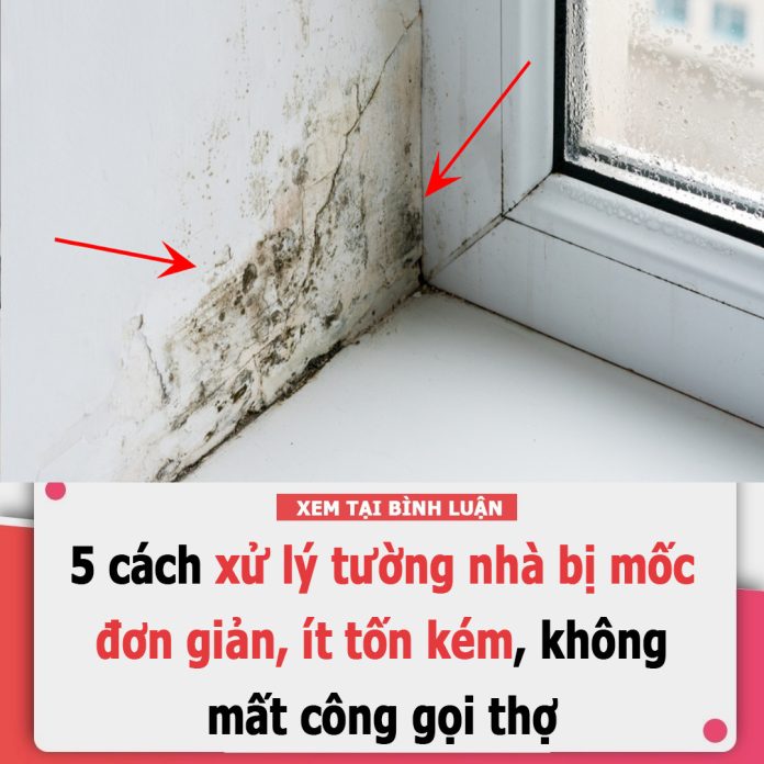 611140243_1408103691326821_8992718277374752851_n