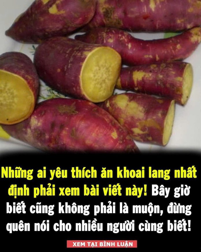 611272625_1471353771664254_818239126764191156_n