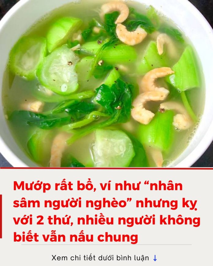 611707356_1408828204587703_992551032707931110_n