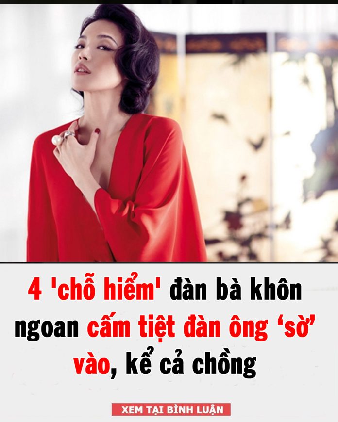 611907292_1409154431221747_9052824376872000199_n