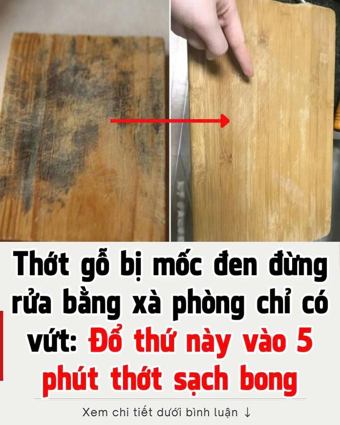 612321833_1409577607846096_1962844183342978386_n