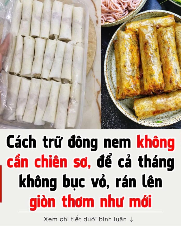 612660647_1409718411165349_8034882933883626196_n