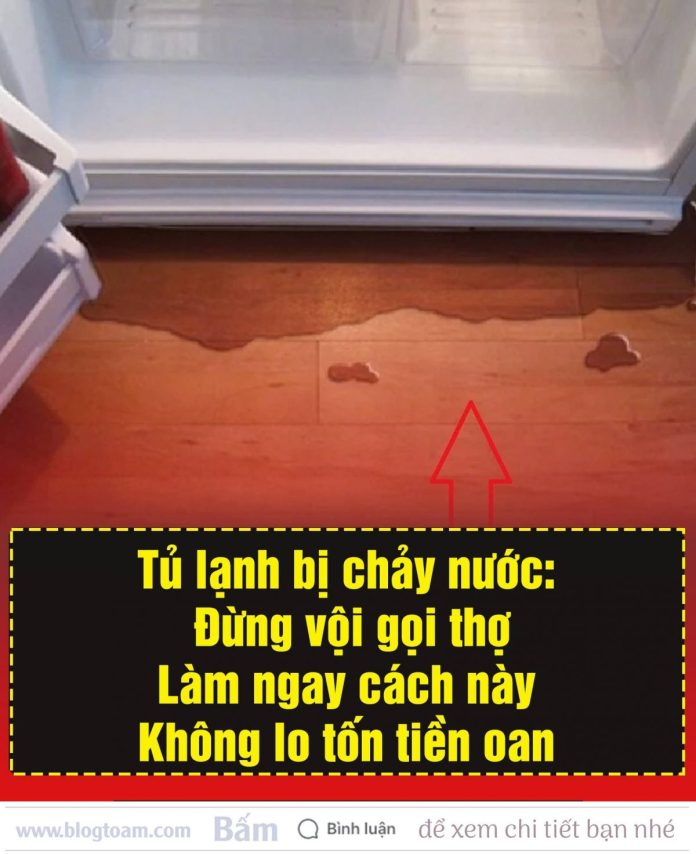 612864524_1409593571177833_7257492287405984837_n