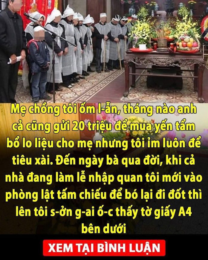 613707116_1474902427976055_7802567701385350199_n