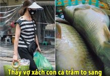 Thấy vợ xách con cá trắm to sang nhà ngoại, chồng đuổi theo móc mỉa: “Lại bòn rút đem về”, tôi liền chỉ vào con cá nói 1 câu khiến chồng đứng như trời trồng, cúi gằm nhục nhã