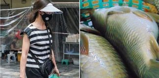 Thấy vợ xách con cá trắm to sang nhà ngoại, chồng đuổi theo móc mỉa: “Lại bòn rút đem về”, tôi liền chỉ vào con cá nói 1 câu khiến chồng đứng như trời trồng, cúi gằm nhục nhã