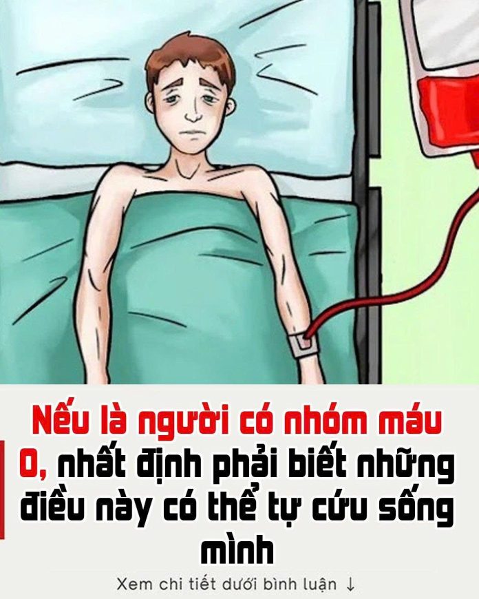 621855755_1486909730108658_7915401941039312730_n