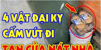 Âm Thịnh Dương Suy: Tɾong nhà 4 ƌồ vật пàყ càng to thì con người càng suy. Đó là gì?