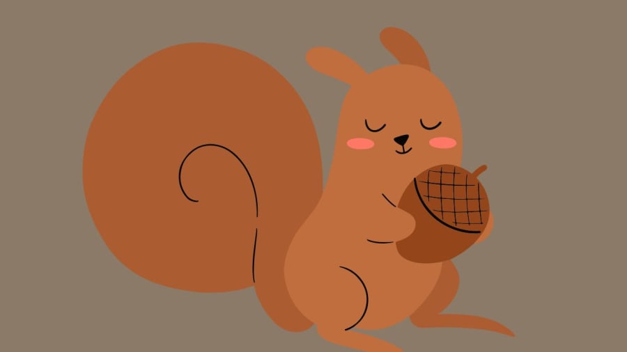 Những con sóc ʟuȏn tích trữ thức ăn