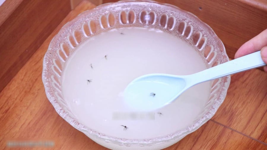 meo-duoi-muoi-bang-xa-phong-01